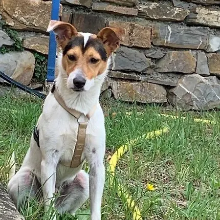 Casa Solemar 因佩里亚